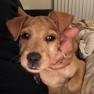 Meet your Posher, Skylar